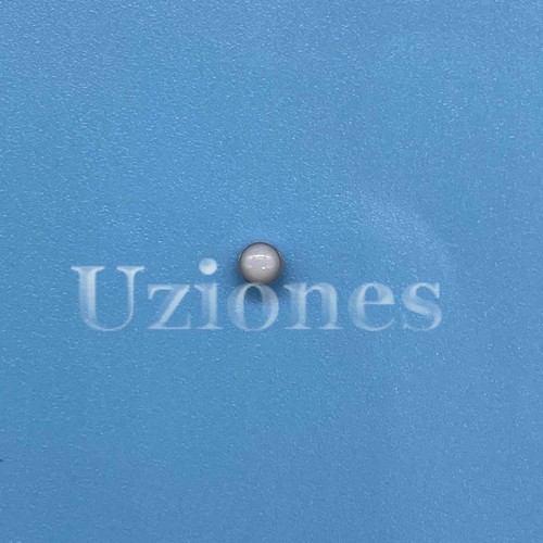 Pearl dot pip bezel insert - pearl,